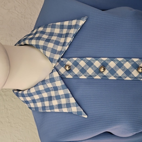 VTG JENNIFER GEE 1970s Baby Blue and White Gingham Long Sleeve Maxi Dress - Picture 5 of 11